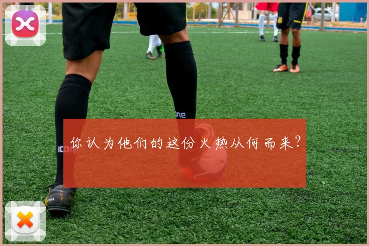 你认为他们的这份火热从何而来？